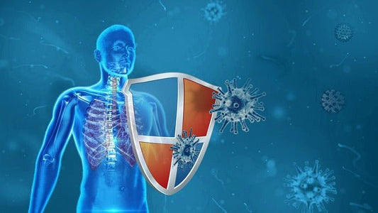 2026, The Hidden Link Between Winter Lungs and Emotional Recovery - Joy and Vitality Centre