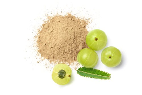 product_name – Holistic Health Calgary | product_type from Joy and Vitality Centre