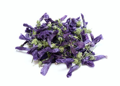 product_name – Holistic Health Calgary | product_type from Joy and Vitality Centre