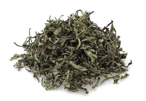 product_name – Holistic Health Calgary | product_type from Joy and Vitality Centre