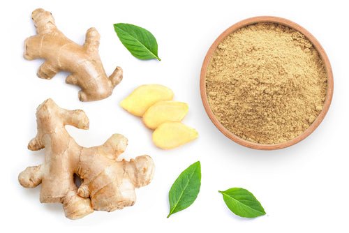 product_name – Holistic Health Calgary | product_type from Joy and Vitality Centre