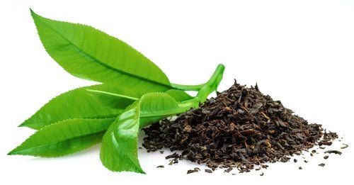 product_name – Holistic Health Calgary | product_type from Joy and Vitality Centre