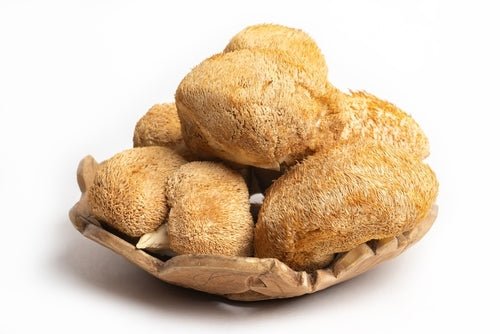 product_name – Holistic Health Calgary | product_type from Joy and Vitality Centre