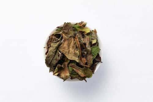 product_name – Holistic Health Calgary | product_type from Joy and Vitality Centre