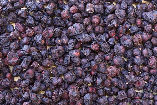 product_name – Holistic Health Calgary | product_type from Joy and Vitality Centre