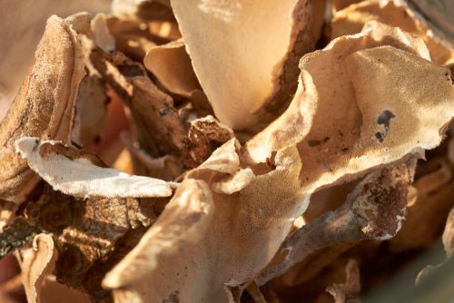 product_name – Holistic Health Calgary | product_type from Joy and Vitality Centre