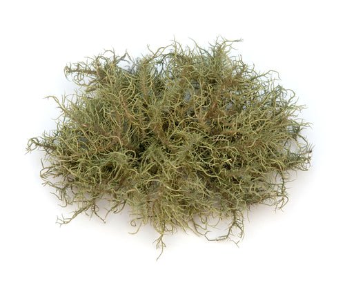 product_name – Holistic Health Calgary | product_type from Joy and Vitality Centre